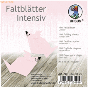 Ludwig Bähr Faltblätter Intensiv Uni 10x10cm VE=100 Blatt altrosa