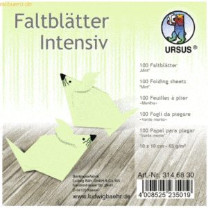 Ludwig Bähr Faltblätter Intensiv Uni 10x10cm VE=100 Blatt mint