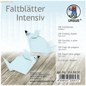 Ludwig Bähr Faltblätter Intensiv Uni 10x10cm VE=100 Blatt hellblau
