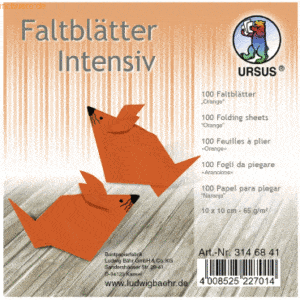 Ludwig Bähr Faltblätter Intensiv Uni 10x10cm VE=100 Blatt orange