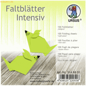 Ludwig Bähr Faltblätter Intensiv Uni 10x10cm VE=100 Blatt hellgrün