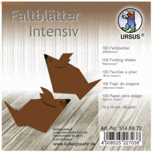 Ludwig Bähr Faltblätter Intensiv Uni 10x10cm VE=100 Blatt mittelbraun