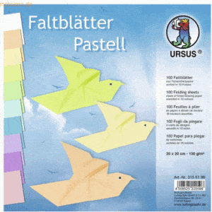 Ludwig Bähr Tonpapier-Faltblätter 130g/qm Pastellfarben 20x20cm VE=100
