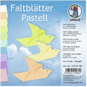 Ludwig Bähr Tonpapier-Faltblätter 130g/qm Pastellfarben 14x14cm VE=100
