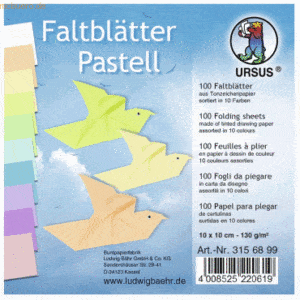 Ludwig Bähr Tonpapier-Faltblätter 130g/qm Pastellfarben 10x10cm VE=100