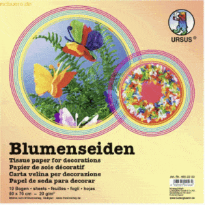 10 x Ludwig Bähr Blumenseide 20g/qm 50x70cm VE=10 Bogen weiß