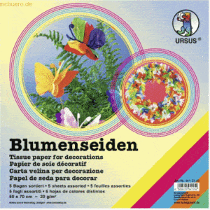 10 x Ludwig Bähr Blumenseide 20g/qm 50x70cm VE=5 Bogen sortiert (1)