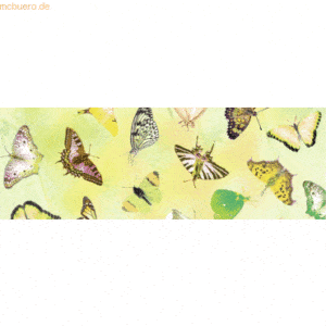 10 x Ludwig Bähr Transparentpapier 115g/qm 50x61cm Schmetterling