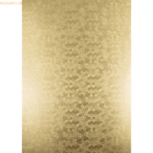 Ludwig Bähr Bastelpapier Highlight 215g/qm 23x33cm VE=5 Blatt gold Pai