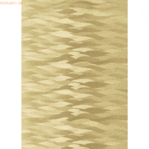 Ludwig Bähr Bastelpapier Highlight 215g/qm 23x33cm VE=5 Blatt gold Wel