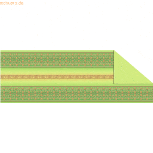Ludwig Bähr Tonkarton 220g/qm 23x33cm VE=5 Bogen Bordüren grün