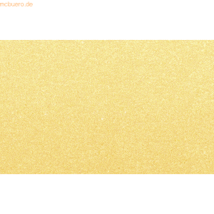 25 x Ludwig Bähr Tonzeichenkarton 220g/qm 50x70cm gold matt